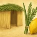 dvar torah sukkot