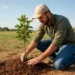israel planting trees