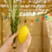 sukkot blessings